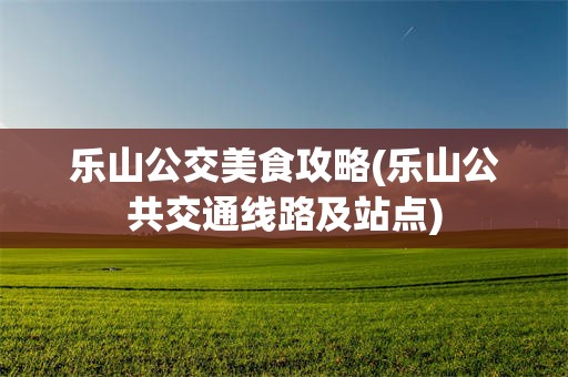 乐山公交美食攻略(乐山公共交通线路及站点)
