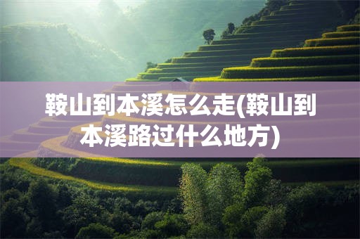 鞍山到本溪怎么走(鞍山到本溪路过什么地方)