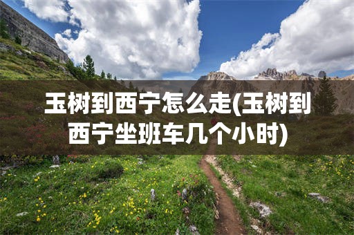 玉树到西宁怎么走(玉树到西宁坐班车几个小时)