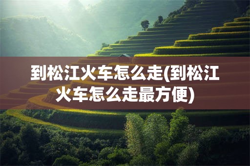 到松江火车怎么走(到松江火车怎么走最方便)