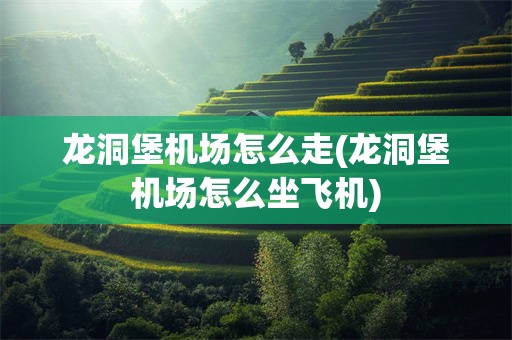 龙洞堡机场怎么走(龙洞堡机场怎么坐飞机)