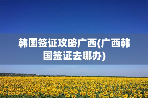 韩国签证攻略广西(广西韩国签证去哪办)