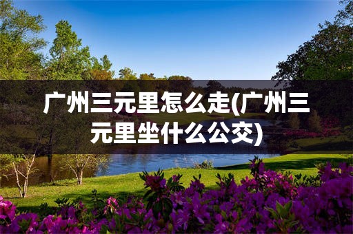 广州三元里怎么走(广州三元里坐什么公交)
