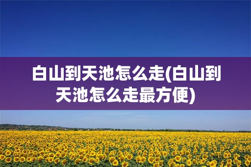 白山到天池怎么走(白山到天池怎么走最方便)
