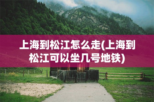 上海到松江怎么走(上海到松江可以坐几号地铁)