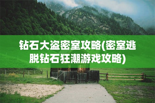 钻石大盗密室攻略(密室逃脱钻石狂潮游戏攻略)