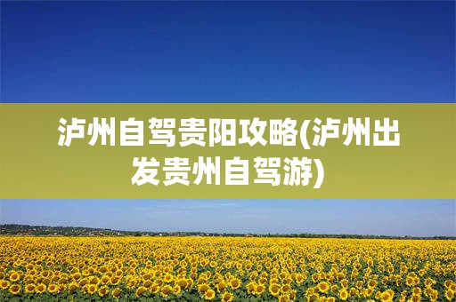 泸州自驾贵阳攻略(泸州出发贵州自驾游)