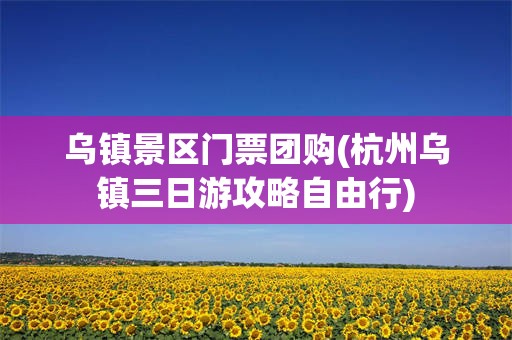 乌镇景区门票团购(杭州乌镇三日游攻略自由行)