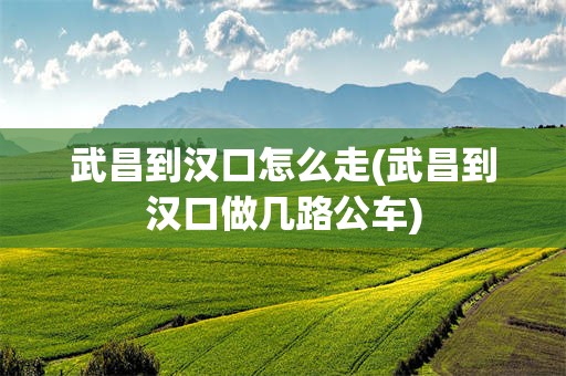 武昌到汉口怎么走(武昌到汉口做几路公车)