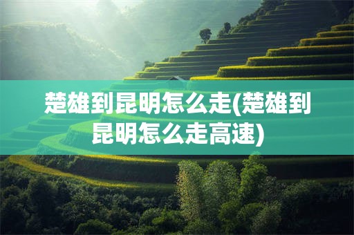 楚雄到昆明怎么走(楚雄到昆明怎么走高速)