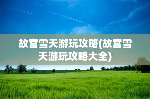 故宫雪天游玩攻略(故宫雪天游玩攻略大全)