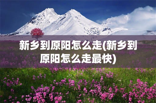 新乡到原阳怎么走(新乡到原阳怎么走最快)