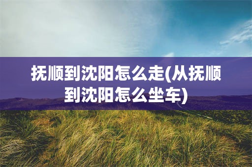 抚顺到沈阳怎么走(从抚顺到沈阳怎么坐车)