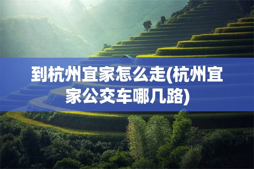 到杭州宜家怎么走(杭州宜家公交车哪几路)