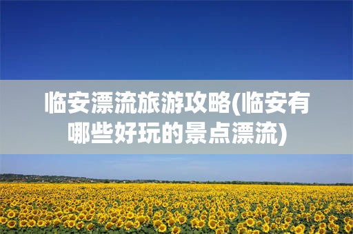 临安漂流旅游攻略(临安有哪些好玩的景点漂流)