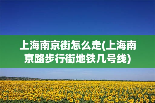 上海南京街怎么走(上海南京路步行街地铁几号线)