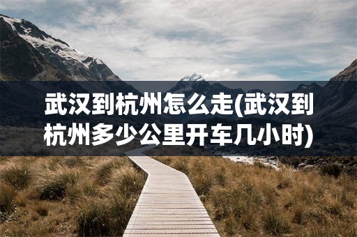 武汉到杭州怎么走(武汉到杭州多少公里开车几小时)