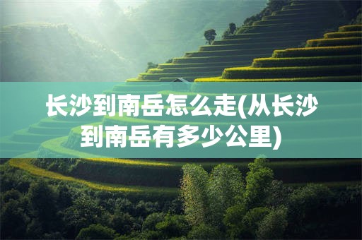 长沙到南岳怎么走(从长沙到南岳有多少公里)