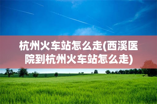 杭州火车站怎么走(西溪医院到杭州火车站怎么走)