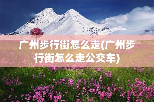 广州步行街怎么走(广州步行街怎么走公交车)