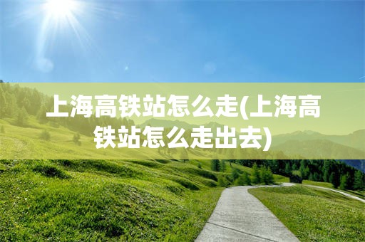 上海高铁站怎么走(上海高铁站怎么走出去)