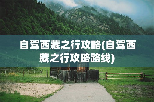 自驾西藏之行攻略(自驾西藏之行攻略路线)