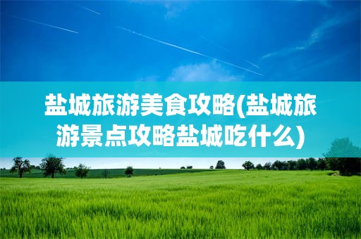 盐城旅游美食攻略(盐城旅游景点攻略盐城吃什么)