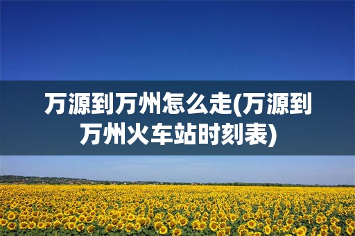 万源到万州怎么走(万源到万州火车站时刻表)