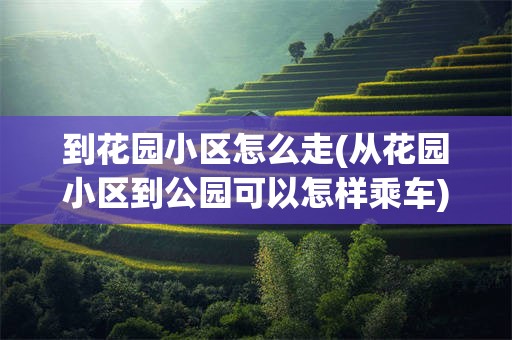 到花园小区怎么走(从花园小区到公园可以怎样乘车)