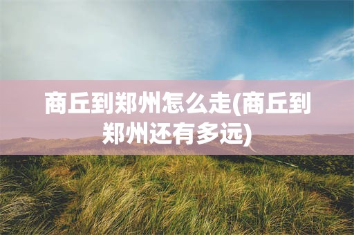 商丘到郑州怎么走(商丘到郑州还有多远)