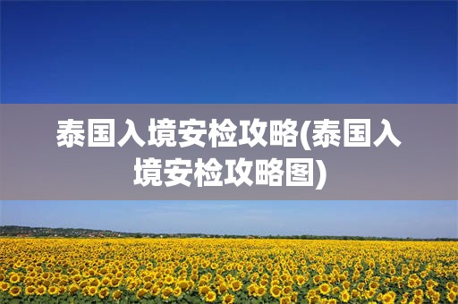 泰国入境安检攻略(泰国入境安检攻略图)