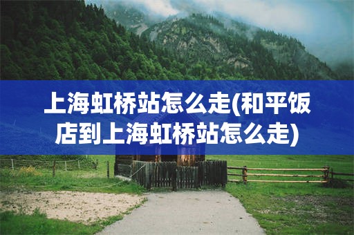 上海虹桥站怎么走(和平饭店到上海虹桥站怎么走)