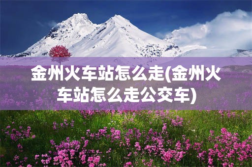 金州火车站怎么走(金州火车站怎么走公交车)