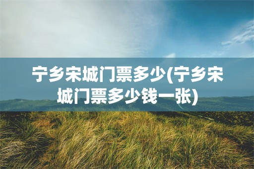 宁乡宋城门票多少(宁乡宋城门票多少钱一张)