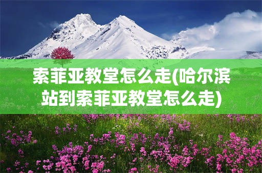 索菲亚教堂怎么走(哈尔滨站到索菲亚教堂怎么走)