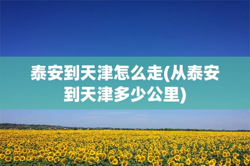 泰安到天津怎么走(从泰安到天津多少公里)