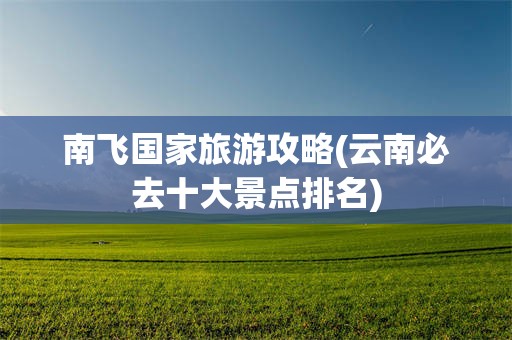 南飞国家旅游攻略(云南必去十大景点排名)