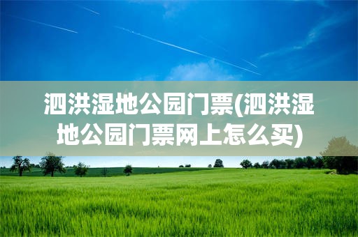 泗洪湿地公园门票(泗洪湿地公园门票网上怎么买)