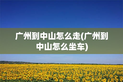 广州到中山怎么走(广州到中山怎么坐车)