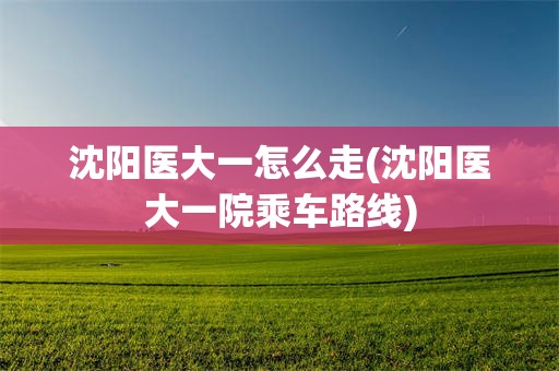 沈阳医大一怎么走(沈阳医大一院乘车路线)