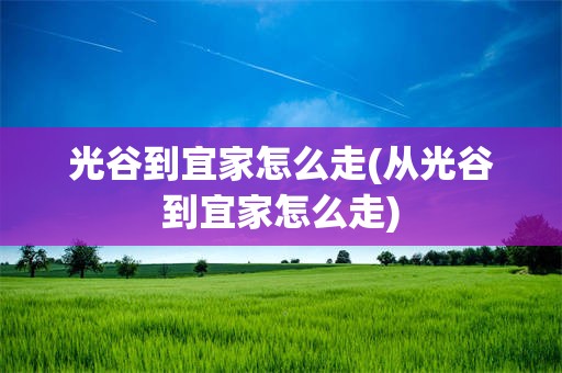 光谷到宜家怎么走(从光谷到宜家怎么走)