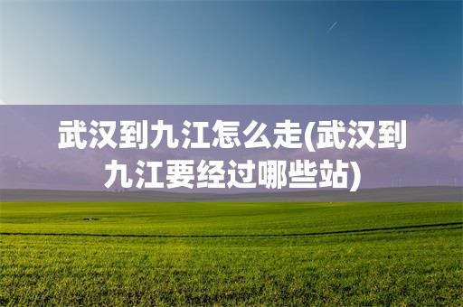 武汉到九江怎么走(武汉到九江要经过哪些站)