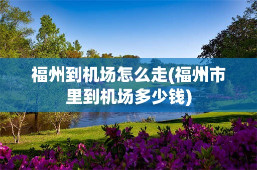 福州到机场怎么走(福州市里到机场多少钱)