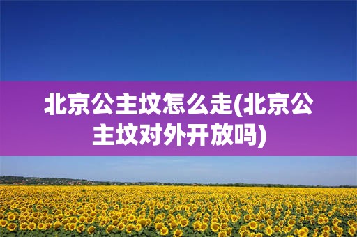 北京公主坟怎么走(北京公主坟对外开放吗)