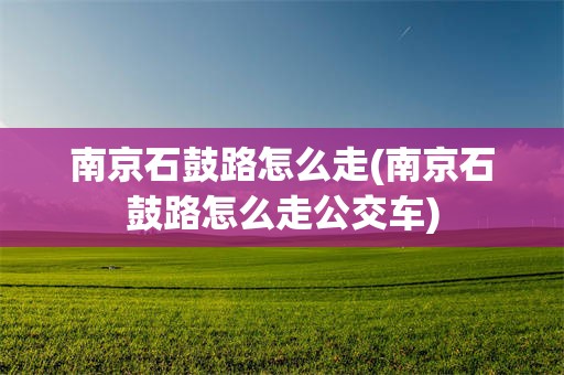 南京石鼓路怎么走(南京石鼓路怎么走公交车)