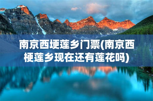 南京西埂莲乡门票(南京西梗莲乡现在还有莲花吗)