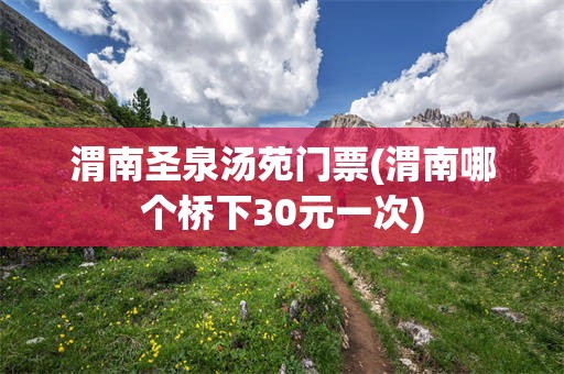 渭南圣泉汤苑门票(渭南哪个桥下30元一次)
