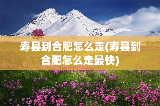 寿县到合肥怎么走(寿县到合肥怎么走最快)