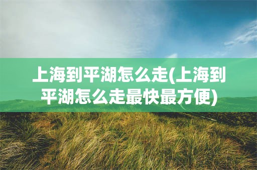 上海到平湖怎么走(上海到平湖怎么走最快最方便)