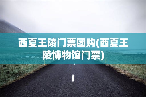 西夏王陵门票团购(西夏王陵博物馆门票)